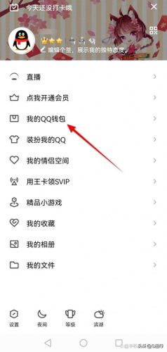 怎么用手机充qb(花呗充q币有哪些平台)插图2