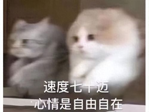 无畏远征军(无畏远征军军需官在哪里)插图6