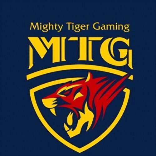 mtg战队(王者荣耀mtg战队)插图