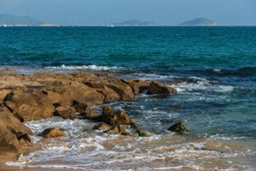 梦海鼠(海鼠养殖广西)插图1