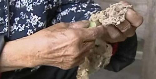 中国蜘蛛网(中国蜘蛛网系统)