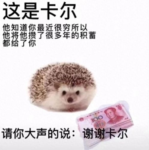 卡尔刺猬是什么梗(卡尔刺猬梗图)插图1