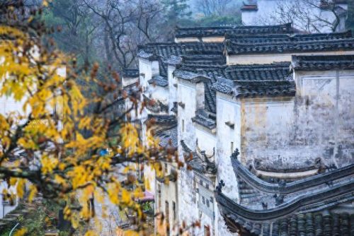 中国画里的乡村指的是(画里乡村)插图5
