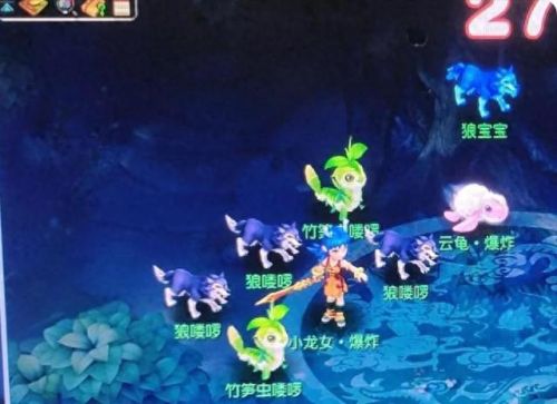 梦幻西游有没有人专门去捉变异龙的(梦幻西游抓变异狼)插图7