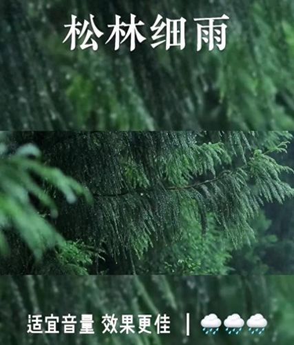 可以约人睡觉的app(满足男生求生欲的软件)插图12