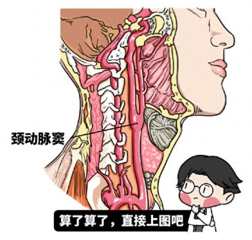 男生女生一起做亏亏的是草莓游戏(草莓甜心游戏系列大全)插图13