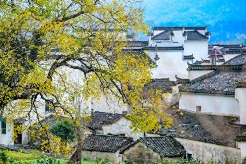 中国画里的乡村指的是(画里乡村)插图15