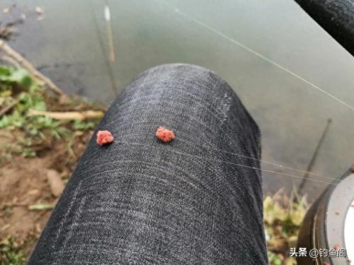 如何快速提升钓鱼技能(钓鱼技能1-300完全攻略)插图6