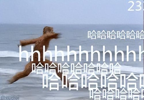 釜山图书馆什么梗(釜山图书馆表情包)