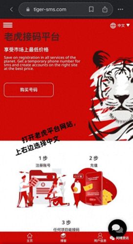 老虎邮箱(gmail邮箱国内怎么用)插图