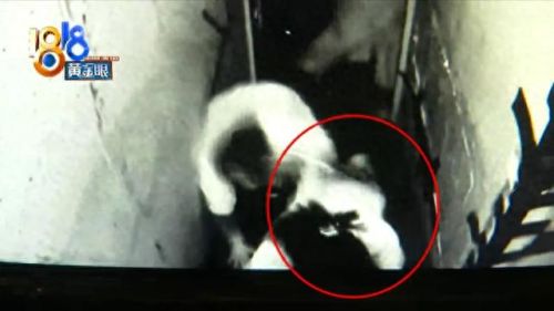 逃脱豪华小酒吧攻略(密室逃脱之极限逃脱攻略28关)插图
