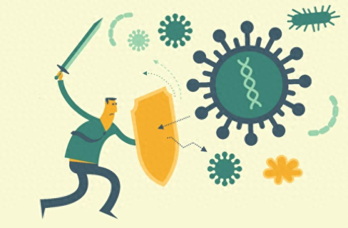 消灭病毒如何升主武器(消灭病毒98k)插图 消灭病毒如何升主武器(消灭病毒98k)插图