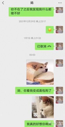 面包狗表情包(面包狗图片)