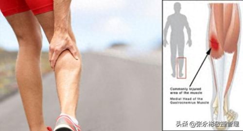 梦幻西游经验环任性一点是什么(109级跑300环多少经验)插图6