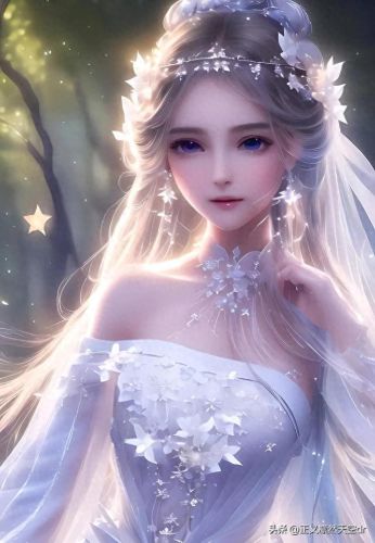 密境森林攻略(emma秘境森林盲盒攻略)插图