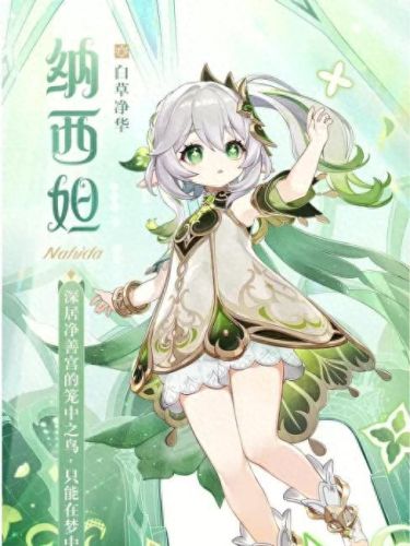 原神清心采集点(原神清心最快采集路线)插图3