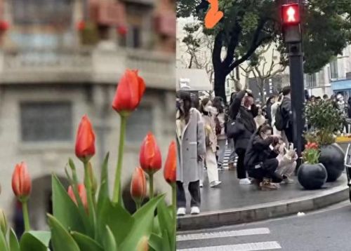 大学生特种兵旅游是什么梗(城市特种兵什么梗)插图30