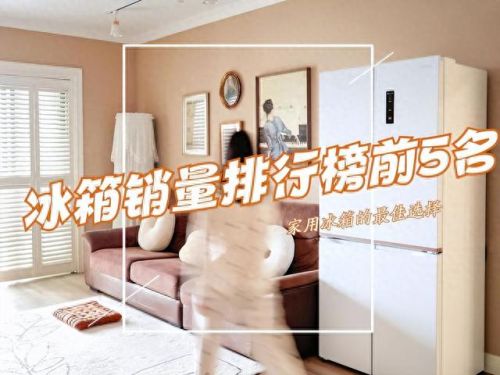 品牌冰箱(中国冰箱十大排名)插图