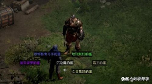 召唤菠萝丁的装备(召唤装备推荐100级)插图4