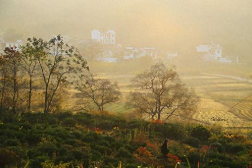 中国画里的乡村指的是(画里乡村)插图7
