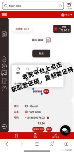 老虎邮箱(gmail邮箱国内怎么用)