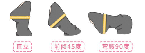 胸围尺寸(最佳三围尺寸)插图6