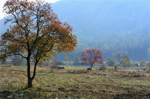中国画里的乡村指的是(画里乡村)插图9