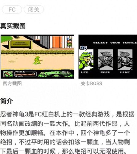忍者神龟秘籍(忍者神龟绝招用法)插图