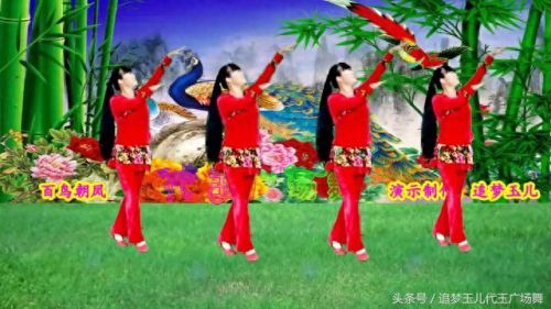 广场舞百鸟朝凤(百鸟朝凤舞蹈)插图5