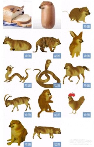面包狗表情包(面包狗图片)插图8