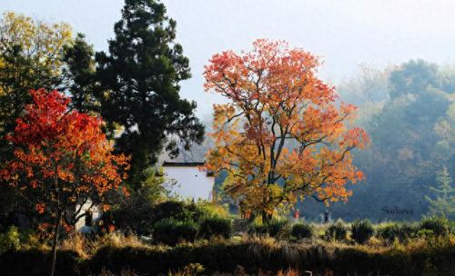 中国画里的乡村指的是(画里乡村)插图10