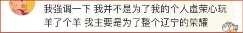 羊了个羊什么意思(羊了个羊比喻什么)插图15