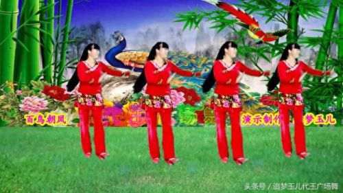 广场舞百鸟朝凤(百鸟朝凤舞蹈)插图4