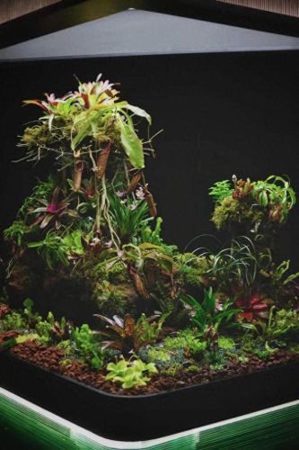 我的世界马桶解说空岛(我的世界马桶解说幸运方块)插图5