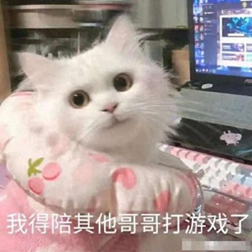 剑三怎么放一个技能说一句话的(剑三记录施放技能)插图