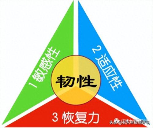 梦幻西游经验环任性一点是什么(109级跑300环多少经验)插图3
