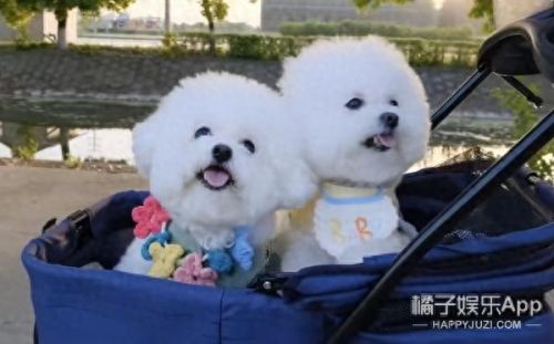 tips是什么意思梗(tips扣款和大厅扣款区别)插图25