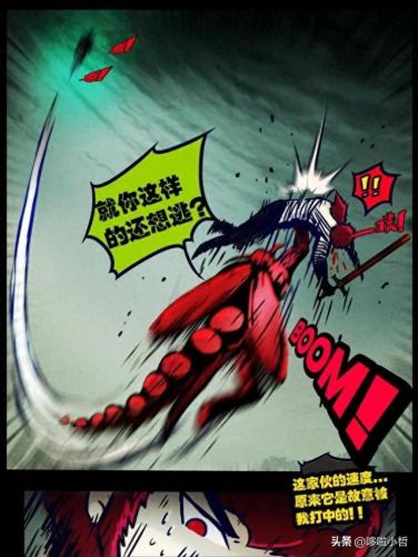 尸兄漫画全集(尸兄第一季)插图43