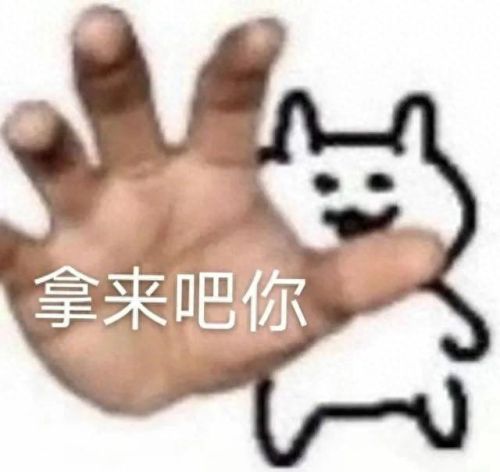 卡尔刺猬是什么梗(卡尔刺猬梗图)插图3
