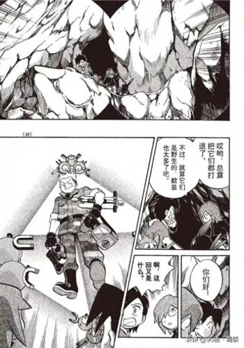 宠物小精灵bw145(宠物小精灵dp145)插图9