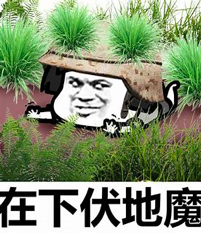 梦幻西游点击任务闪退(win10进梦幻闪退)插图2