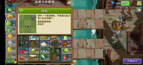 海盗港湾之旅攻略(海盗港湾第13天旅游攻略)插图1
