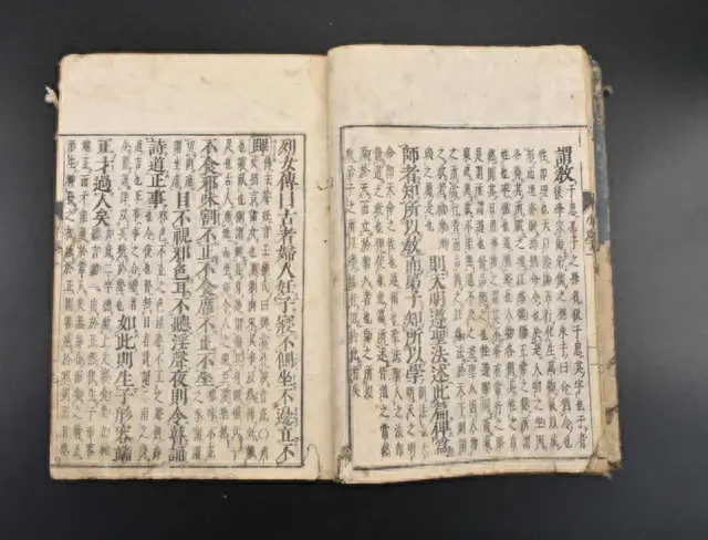 古代禁书(古典小说春野情史)插图8
