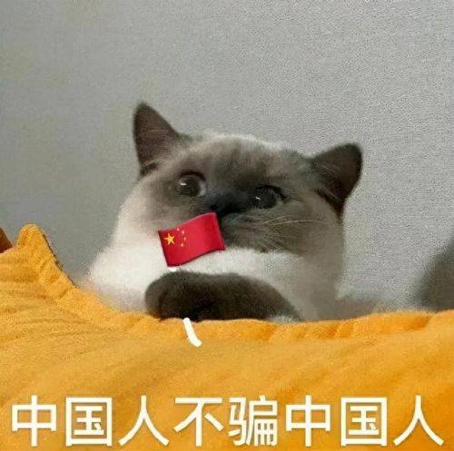 中国人不骗中国人是什么(外教男骗1000名女士事件真假)插图2