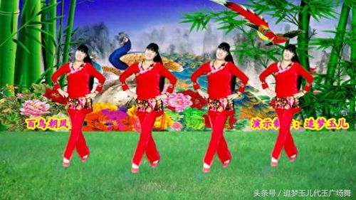 广场舞百鸟朝凤(百鸟朝凤舞蹈)插图6