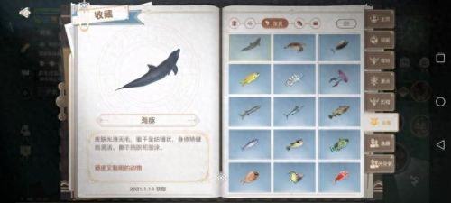 天谕沉船传送点在哪(天谕 沉船在哪里)插图3