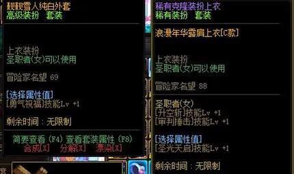 dnf中女圣骑士勇士辅助装备搭配(dnf女圣职者装备搭配)插图2