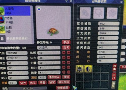 梦幻西游里讲的合胚子(梦幻西游十大胚子)