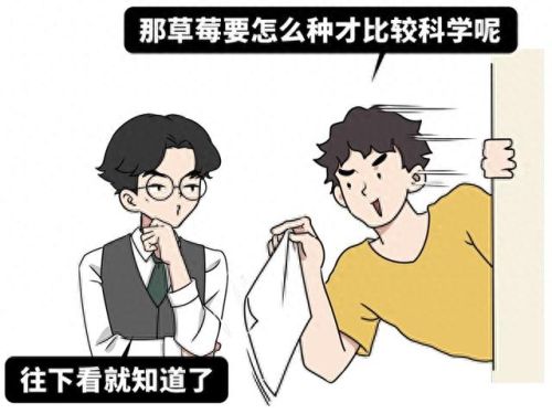 男生女生一起做亏亏的是草莓游戏(草莓甜心游戏系列大全)插图12