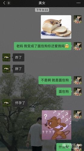 面包狗表情包(面包狗图片)插图20